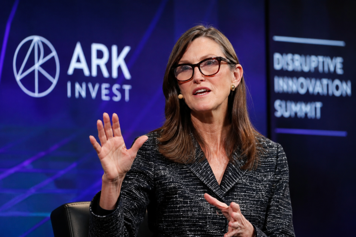 Cathie Wood trims Palantir to buy this AI stock after a brutal 16% crash